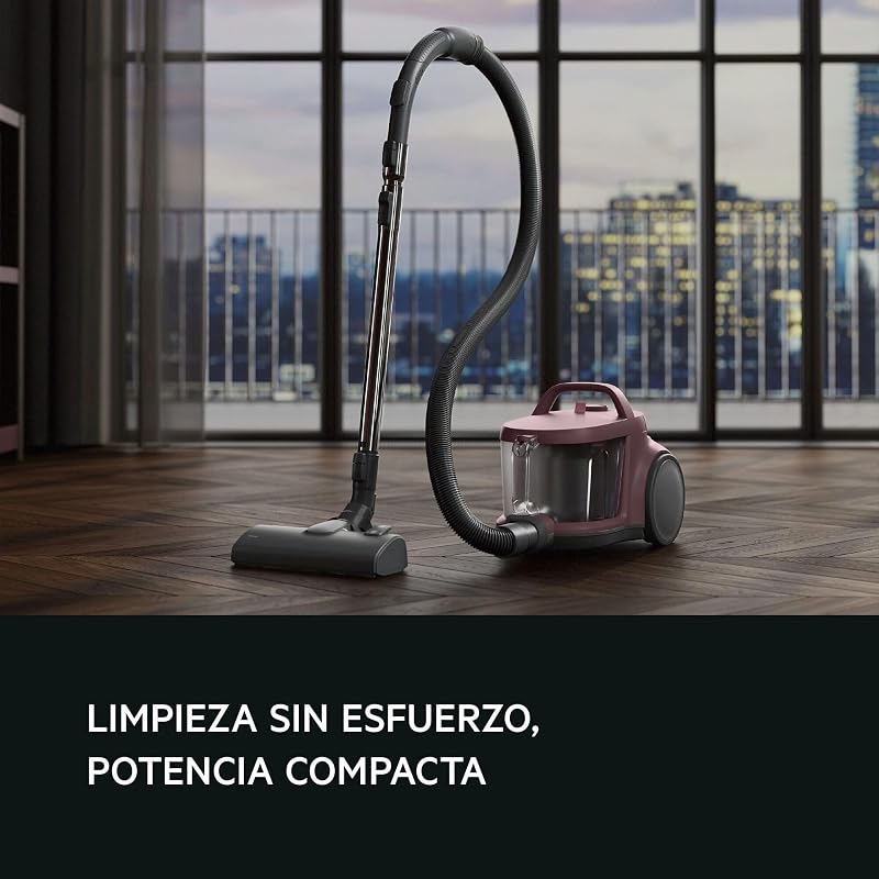 Aspirador de Trineo 1000 W AL51C1DRF Rojo