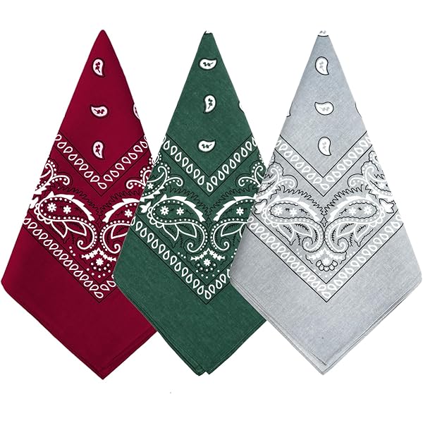 Lote De 2/3/6 Paquete Estampado Cachemira Bandana 100% Algodón Cabeza