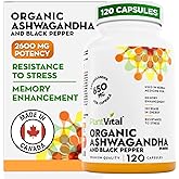 PlantVital Organic Ashwagandha Supplement with Black Pepper - Made in Canada - 2,600mg per day - Ashwagandha Capsules for Str