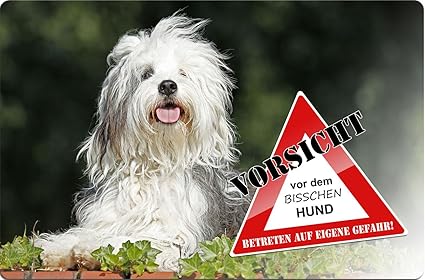 Terrier Tibétain Tibet Tsang Apso Métal Enseigne Pour