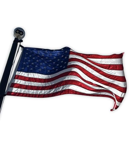 Amazon.com : United States 1959-1960 49 stars Flag 2' x 3' for a