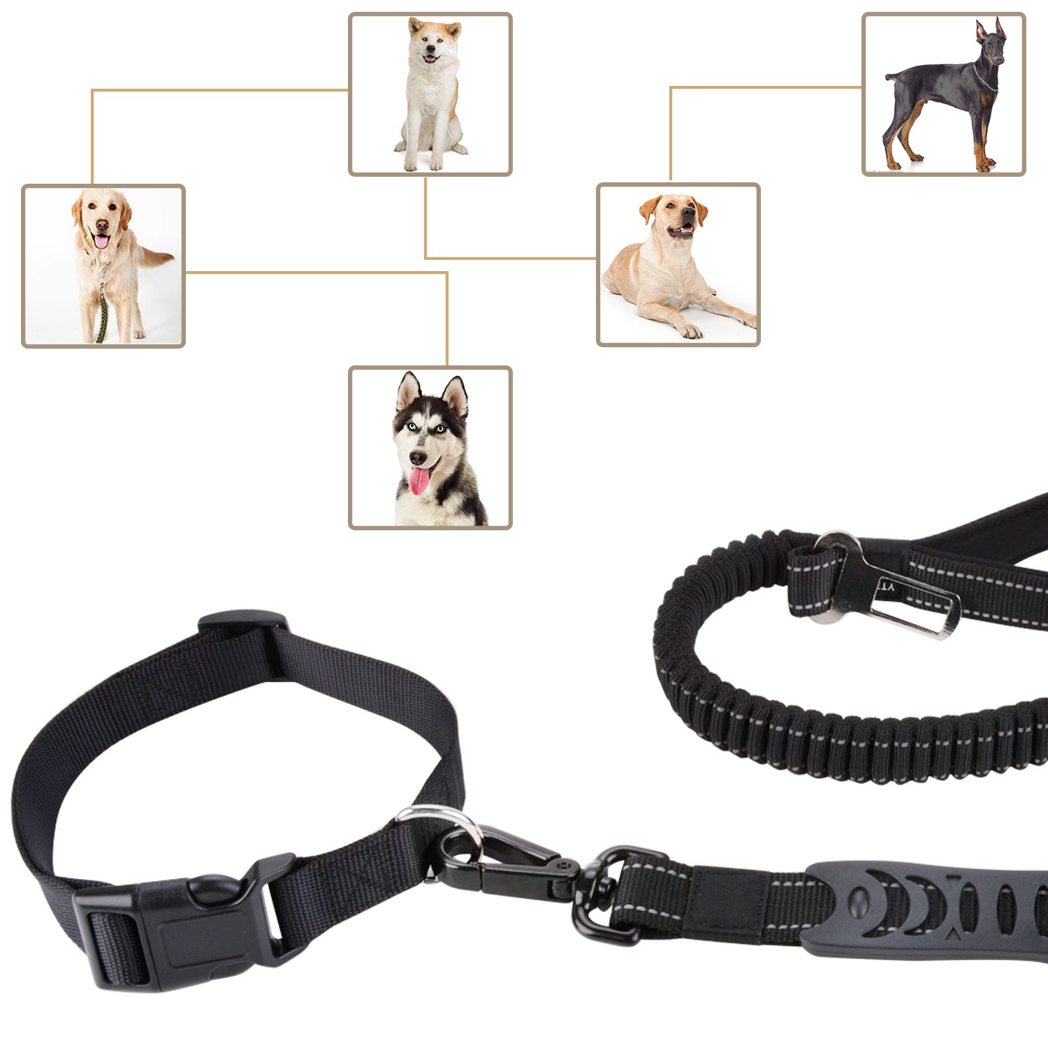 Legendog Dog Car Seat, Pet Booster Portable Travel Pet Car Seat Carrier for Dogs & Cats, Waterproof Pet Booster Carrier with Cushion & Adjustable Strap (2 Pcs Dog Leash)