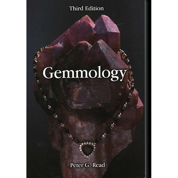 Handbooks Gestones : CALLY HALL: Aazon.in - Foto 12