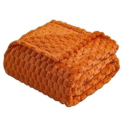 Vessia Flannel Fleece Throw Blanket for Kids and