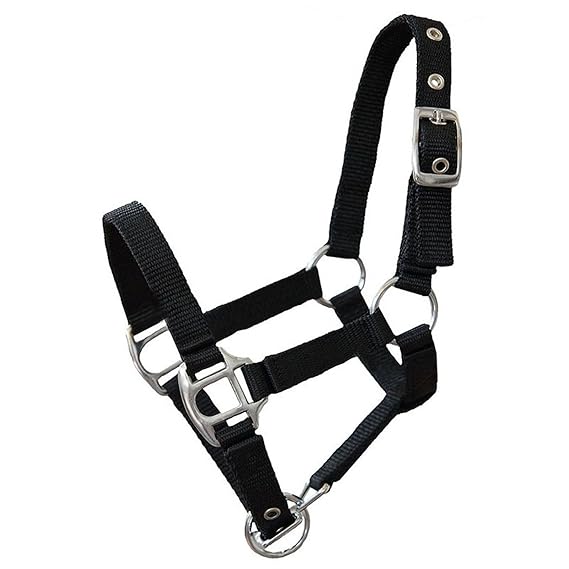 Miniline, Nylonhalfter ''Petit'' Gr. 4 Minishetty groß schwarz