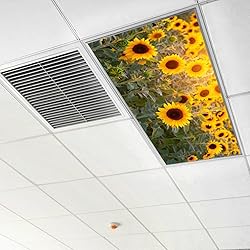 Drop Ceiling Light Covering Insert 4' x 2' feet