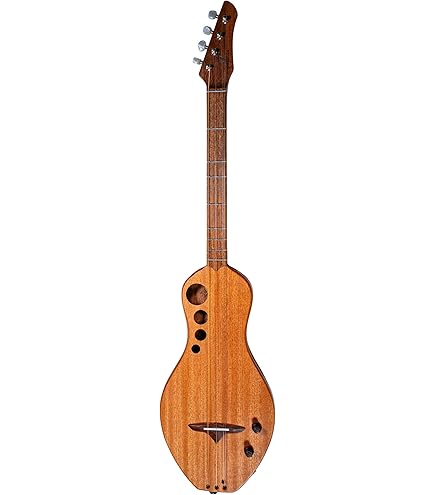 Amazon.com: Seagull 039227 Merlin Spruce SG Dulcimer 4-String
