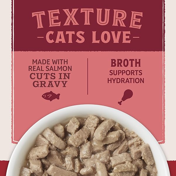NATURAL BALANCE ULTRA PROTEIN WET CAT FOOD CUTS IN GRAVY, REAL SALMON RECIPE WITH PROTEIN-RICH ORGANS FOR CATS, ORGAN CAT FOOD WITH HIGH PROTEIN – 2.7OZ.