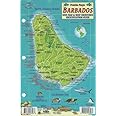 Barbados Dive Map & Reef Creatures Guide Franko Maps Laminated Fish Card