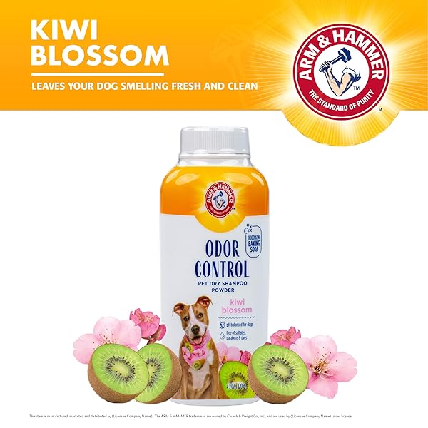 ARM & HAMMER FOR PETS ODOR CONTROL DRY SHAMPOO POWDER FOR DOGS, BEST ODOR ELIMINATING WATERLESS SHAMPOO FOR DOGS & PUPPIES, KIWI BLOSSOM SCENT, 4.2 OUNCES