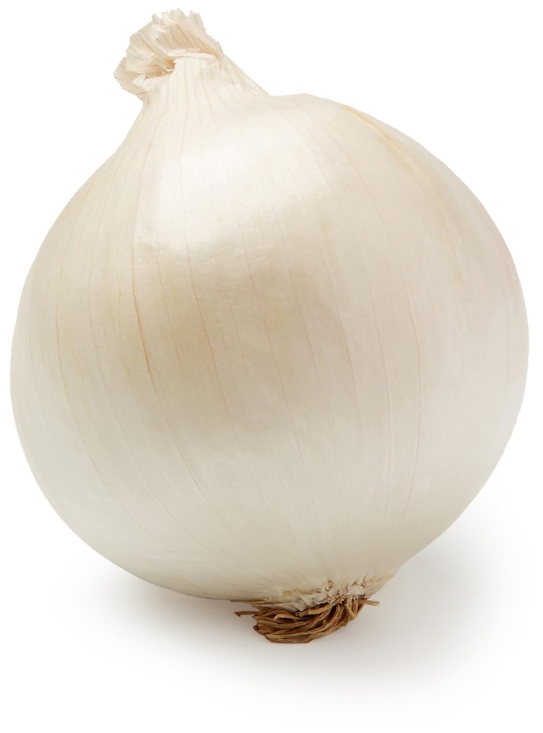 White Onion One Medium Amazon Com Grocery Gourmet Food