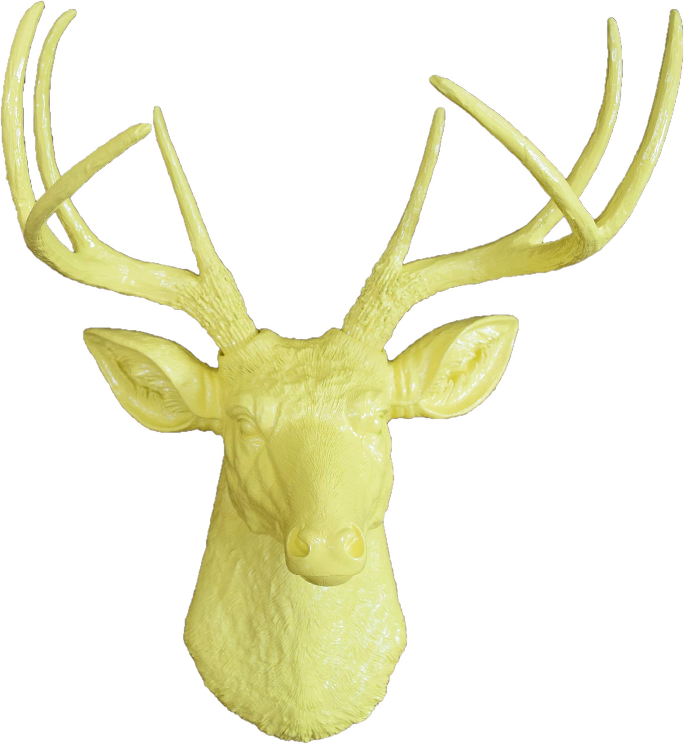 Faux Taxidermy Studio 10 Point Deer Head | Faux Taxidermy | Fake 10 Point Resin Deer Head (Yellow)