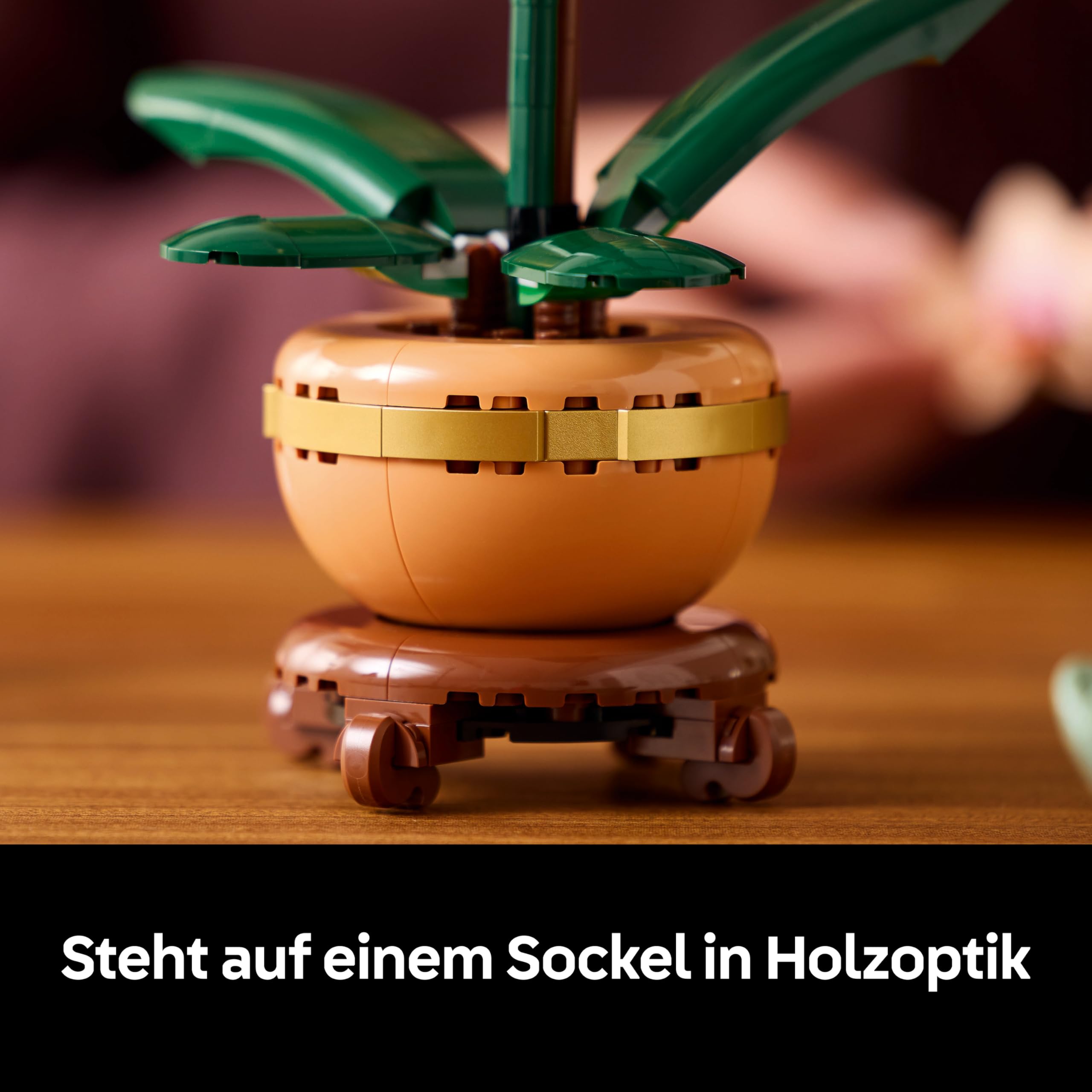 LEGO Botanicals Mini-Orchidee - Set mit Kunstblumen für Erwachsene - Zimmerpflanze mit Blumentopf im Terrakotta-Stil - DIY Geschenkidee zum Geburtstag - 10343 5