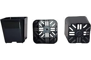 BOTARO 100-Pack, Water Dance Square Plastic Pots for Plants, 2-Inch. Color: Black