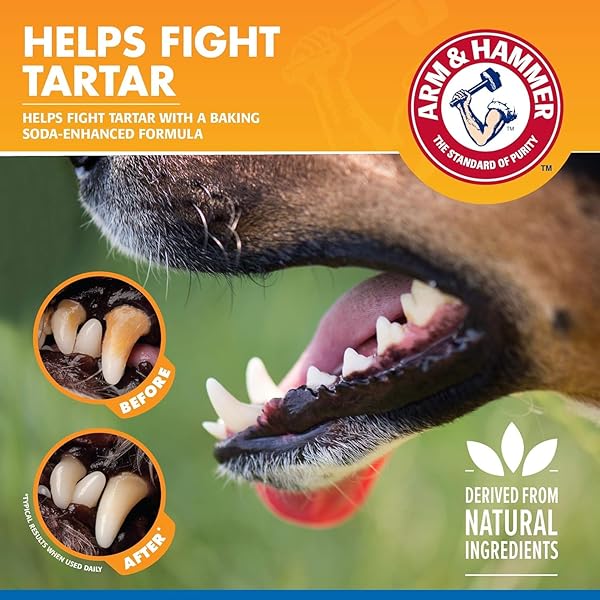 ARM & HAMMER TARTAR CONTROL DENTAL SPRAY FOR DOGS, MINT FLAVOR BREATH FRESHENER, BRUSHLESS TEETH CLEANING ORAL CARE WITH BAKING SODA, HELPS REDUCE PLAQUE AND TARTAR BUILDUP, 4 FL OZ – 2 PACK