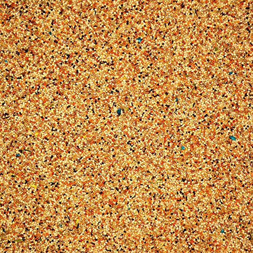 Volkman Seed Avian Science Super Finch Nutritionally Balanced Diet Food 4 lbs