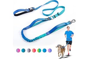JETOG Heavy Duty Hands Free Dog Leash, 5-7 FT Reflective Adjustable Waist Dog Leash Belt with Padded Handles, Shock Absorbing Bungee and Car Seat Belt for Large Medium Dogs (Gradient Cobalt, XL)
