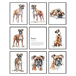 BigWig Prints - Boxer Dog Wall Decor, Boxer Lover