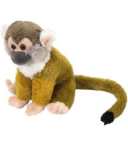 Amazon.com: The Petting Zoo Squirrel Monkey Stuffed Animal