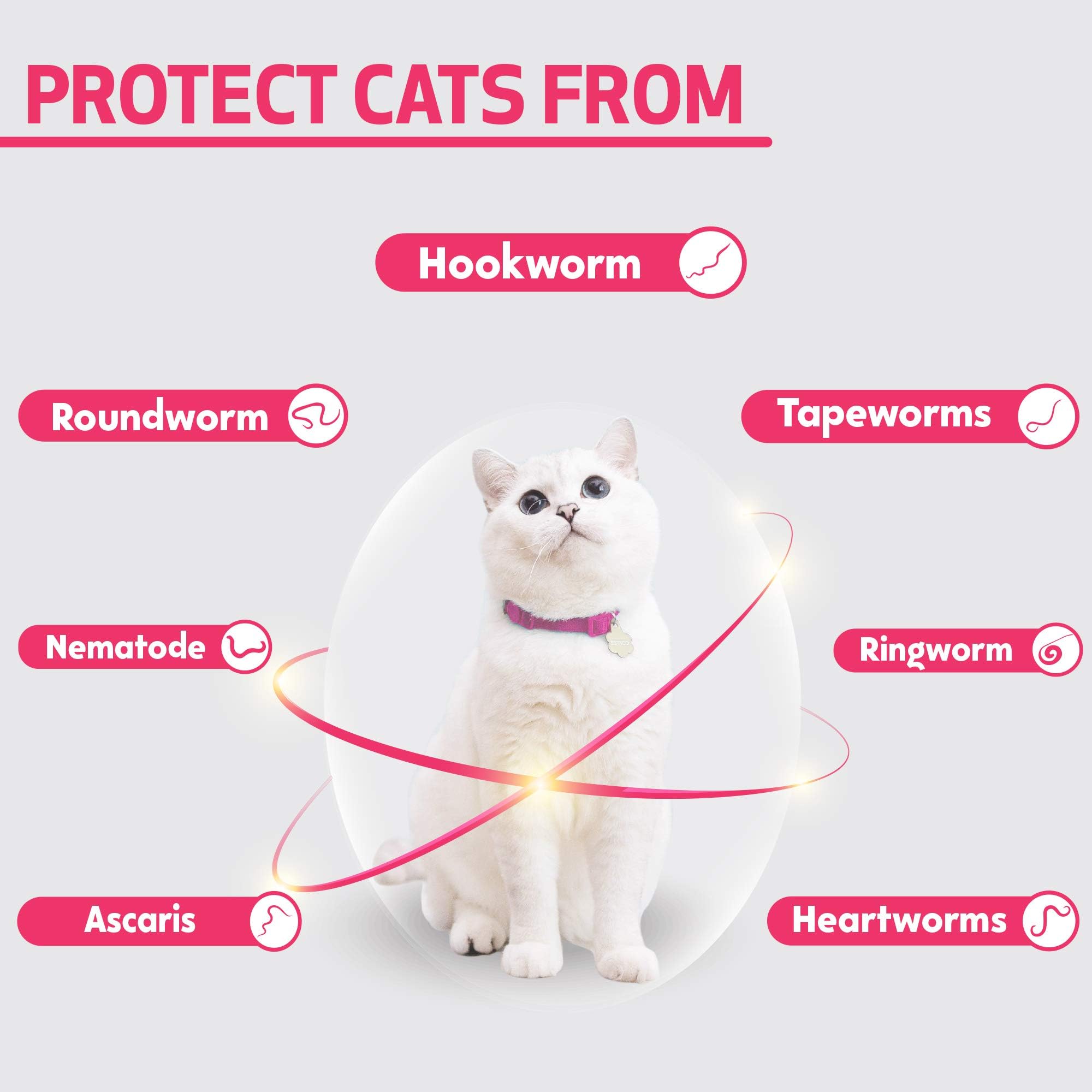 CATIXO 10 Tablets Cat Intestinal Cleanse