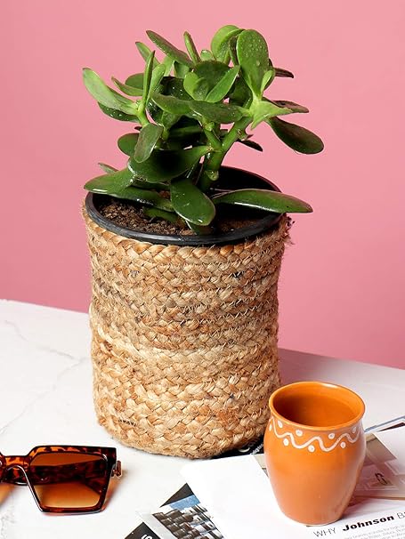 HabereIndia Pure Jute Indoor planters Online from Habere India/ Indoor Plant Basket which is Multi-Functional/Jute planters Online at (15 * 15 cm Without Handle)