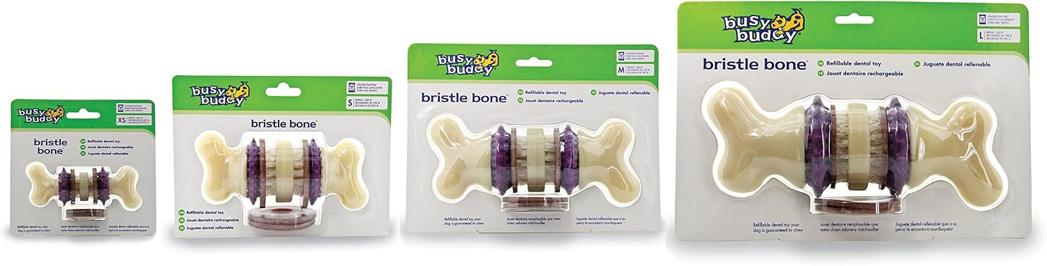 PetSafe Busy Buddy Bristle Bone Dog Chew Toy, L - Image 5
