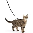 PetSafe Come with Me Kitty Harness and Bungee Leash, Medium, Black