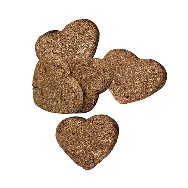 OXBOW SIMPLE REWARDS APPLE BANANA TREATS, TIMOTHY HAY GUINEA PIG & BUNNY TREATS, PET SNACK, MADE WITH OXBOW GUINEA PIG HAY, MADE IN USA, TIMOTHY FOR RABBIT, 3 OZ BAG