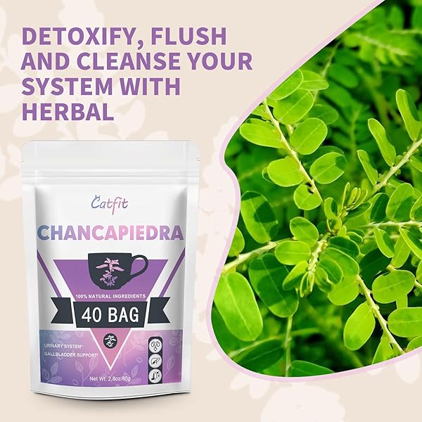 CATFIT CHANCA PIEDRA HERBAL TEA FOR LIVER, BLADDER & KIDNEY HEALTH, URINARY SYSTEM & GALLBLADDER CARE – CAFFEINE-FREE, NON-GMO – 40 TEA BAGS OF DRIED CHANCAPIEDRA LEAVES