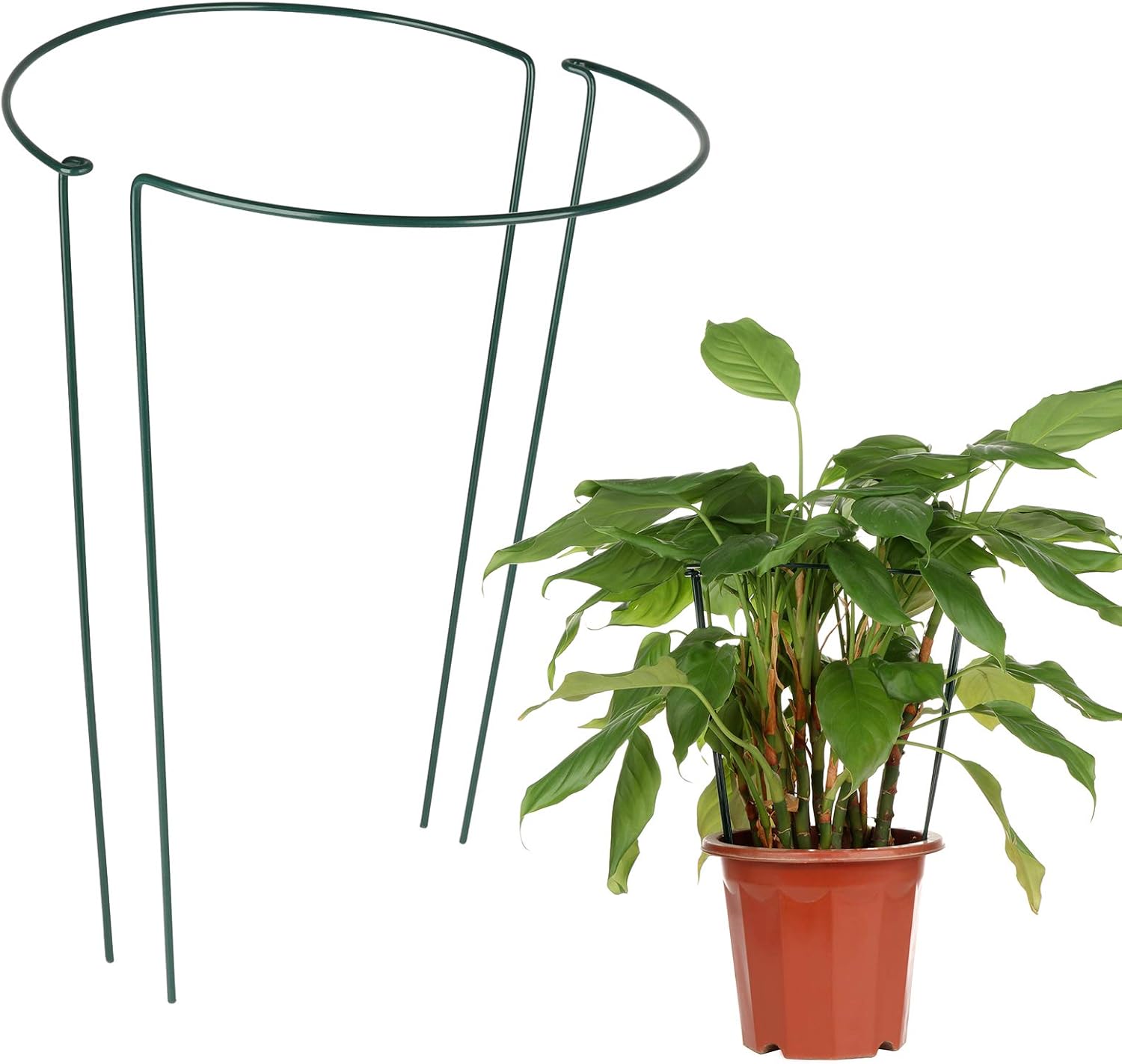 LouisaYork Garden Border Plant Support,2Pcs Tall Plant Supports Plant Support Garden Stakes Garden Hoop Semicircular for Peonies Hydrangea