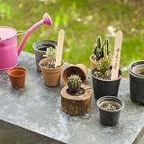 KINGLAKE 50Pcs Wooden Plant Labels with Marker Pen 15x1.6cm Garden Tags view 5