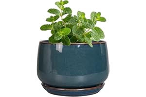 G EPGardening Ceramic Pots for Plants - 4 inch Plant Pots for Indoor Outdoor, Small Planter with Drainage Hole & Tray, Modern Succulent Pots, Round Planter, Office Decor, Home Gifts, Retro Blue
