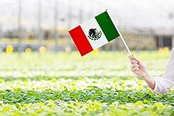 50 Pack Mexico Mexican Flags on Stick Flags,Small