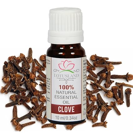 Lotusland 100% Pure & Natural Clove Oil (Pack of 1, 10 ml)