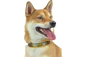 Zubaz NFL Team Adjustable Pet Collar for Dogs & Cats, Green Bay Packers, Small