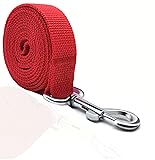 TAIAN 4FT/5FT/6FT Strong Dog Leash, Nylon Dog