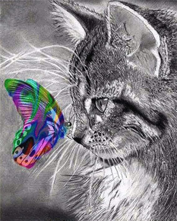 Malen Nach Zahlen für Erwachsene und Kinder