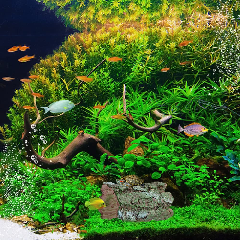 View 5