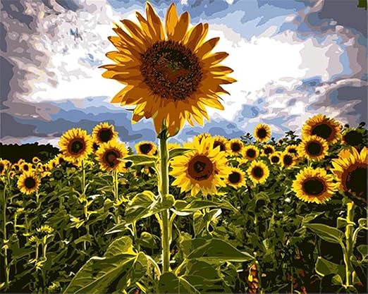 Sonnenblumenfeld Malen