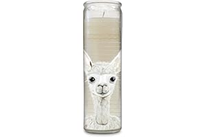 Scented Cathedral Candle by Studio Oh! - 13-Ounce Soy-Blend Wax Pillar Candle in Decorative Glass Container - Passion Fruit - Burns up to 115 Hours