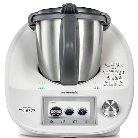 Thermodernizate.com- Vinilos Thermomix TM31 TM21 TM5 Alma: Amazon.es