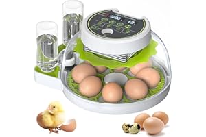 Onsju 8 Egg Incubator with Automatic Egg Turning and Humidity Control, Incubators for Hatching Eggs, Panoramic 360°View Chicken Incubator, Chicken Egg Incubator (Green)