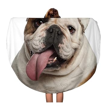  Pinbeam Beach Towel Brown English Bulldog Years