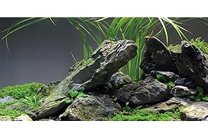 AWERT 36x20 inches Stone Aquarium Background Stone Aquatic Plant River Bed & Lake Seaweed Aquarium Vinyl Background Fish Tank Background