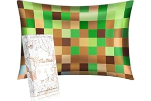 Miss Adola 1 Pack Kids Pillowcase - Queen Size 30 x 20 Inches 19 Momme Mulberry Silk Zipper Pillow Case for Hair and Skin Cute Cartoon Kawaii Green Brown Check Silk Pillowcase for Teens Girls Boys