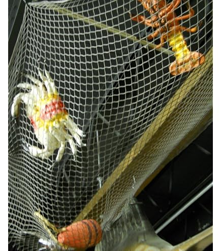 Amazon.com : Authentic Nautical Fish Net - Decorative Use 5' X 10' New : Fish  Net For Decor : Sports & Outdoors