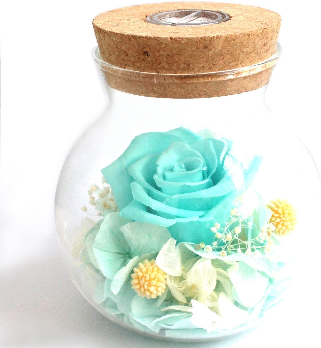 [New Version 2017] Havenfly Handmade Preserved Flower Rose, Never Withered Roses, Upscale Immortal Flowers, Fresh Roses, Eernal Life Flowers for Love Ones, Gift for Valentine's Day, Anniversary,