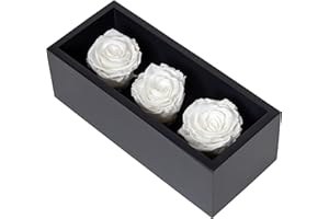 KHIVA Preserved Roses in Wood Box, 3 White Birthday Flowers for Delivery Prime, Everlasting Flowers, Natural Forever Roses That Last for Years, Eternal Rose, Gift Delivery for Mom