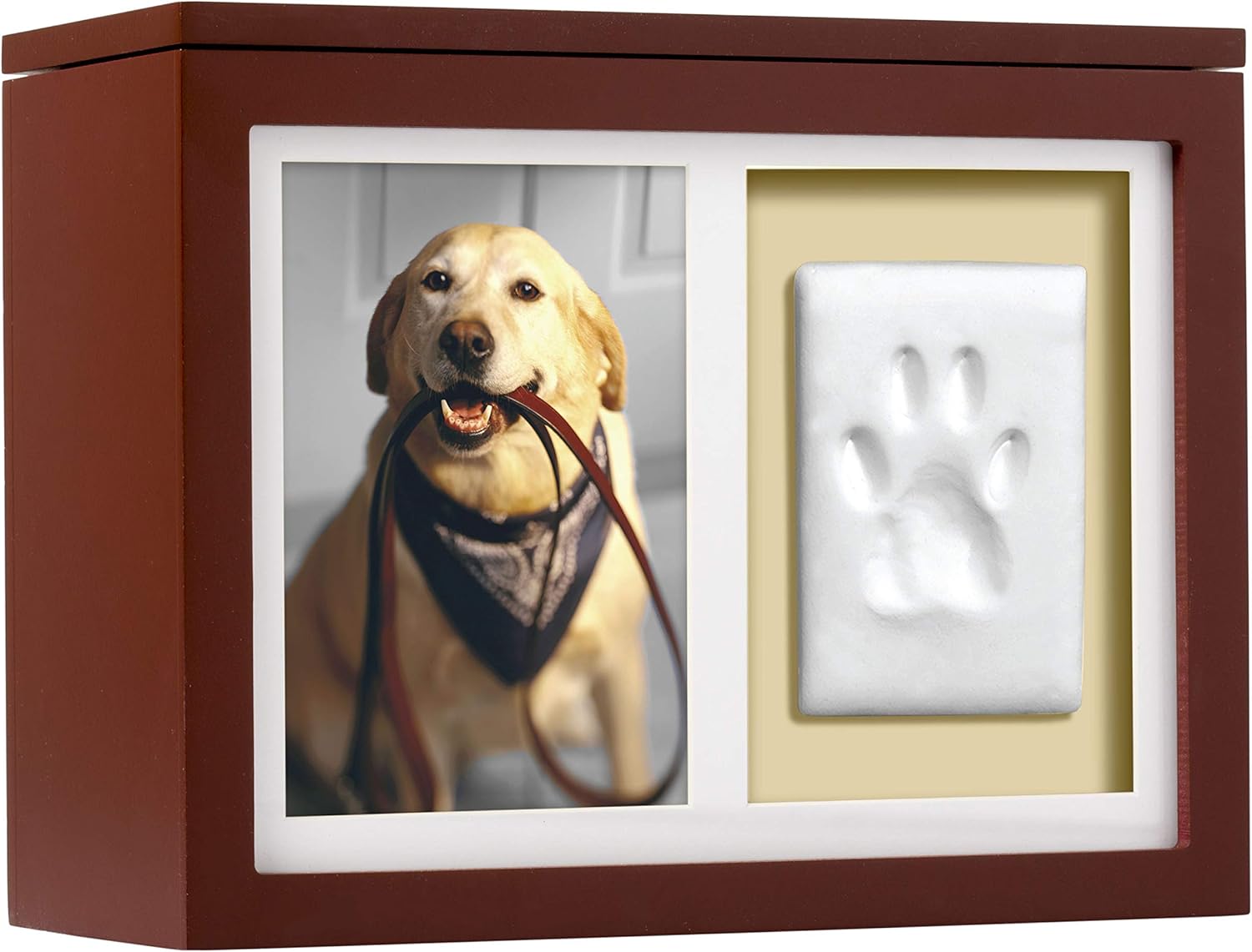 pet urns for dogs amazon