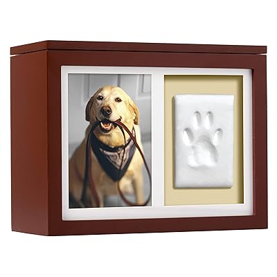 dog paw impression kit